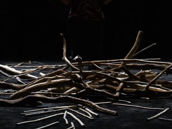 lapsus-le-chant-du-vertige-galerie