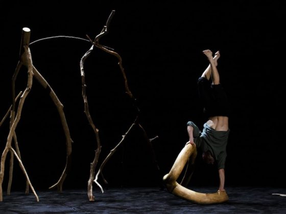 lapsus-le-chant-du-vertige-galerie