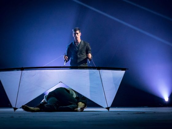 festival-mondial-cirque-de-demain