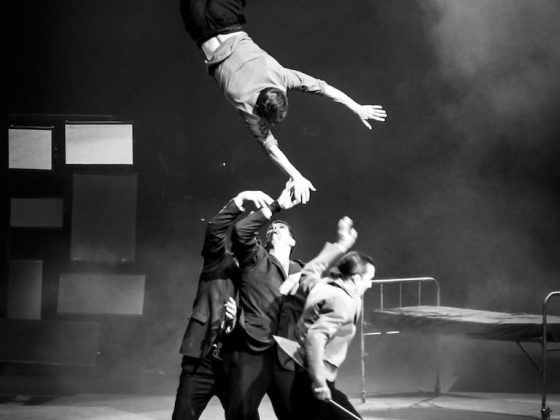 festival-mondial-cirque-de-demain