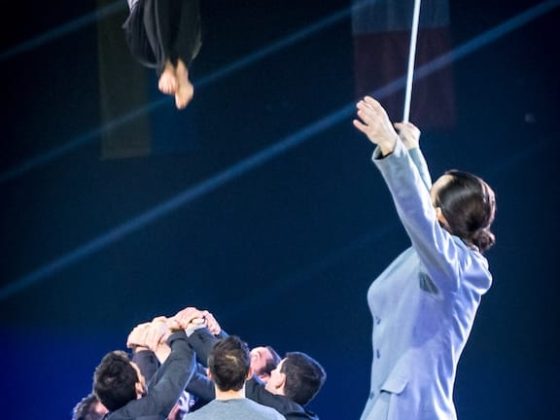 festival-mondial-cirque-de-demain
